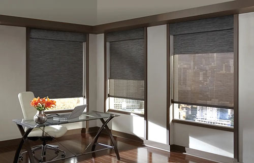 Roller Shades and Blinds